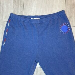 WILDFOX blue sun joggers, sweatpants.. sized Medium but fit like a Large